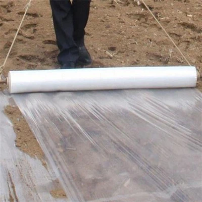 Ietekme uz vidi un apglabāšana