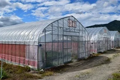 Polietilēna plēves siltumnīca