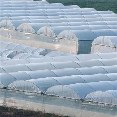 Pastiprināta plastmasas lokšņu siltumnīca